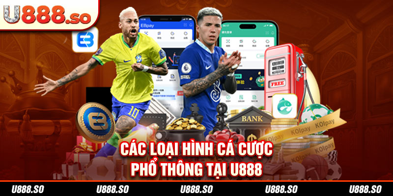 Các loại hình cá cược phổ thông tại 98WIN