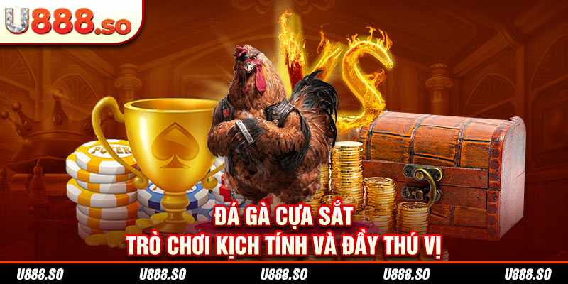 Đá gà cựa sắt