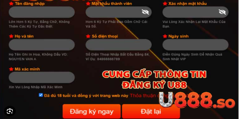 Điền các thông tin