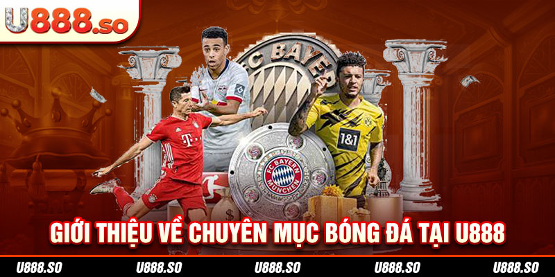 Giới thiệu về bóng đá tại 98WIN