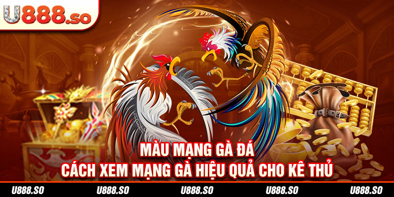 Màu mạng gà đá