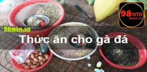 Các loại thức ăn gà đá thiết yếu nhất